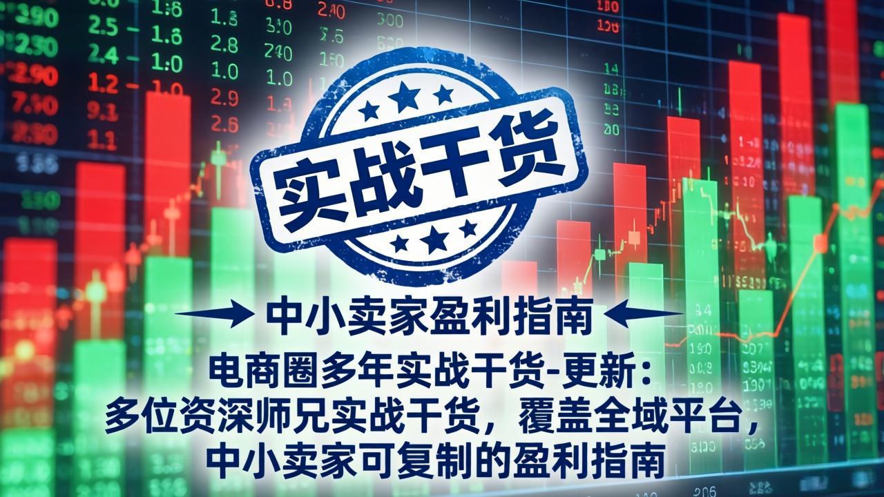 电商圈多年实战干货-更新5月10：多位资深师兄实战干货/覆盖全域平台，中小卖家可复制的盈利指南-吾爱云课堂