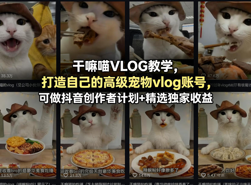 干嘛喵VLOG教学，打造自己的高级宠物vlog账号，可做抖音创作者计划+精选独家收益-吾爱云课堂