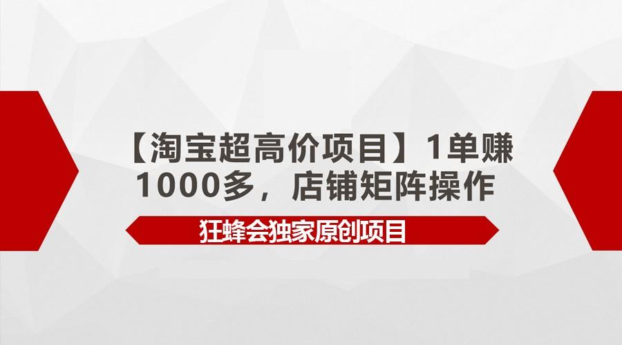 【淘宝超高价项目】1单赚1000多,店铺矩阵操作-吾爱云课堂