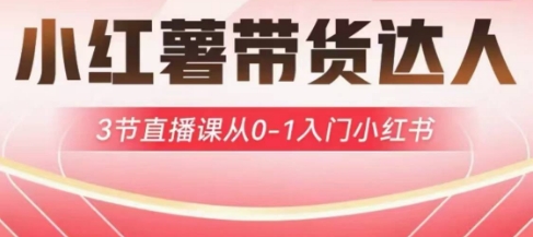 小红薯达人带货启航计划,3节直播课从0-1入门小红书-吾爱云课堂