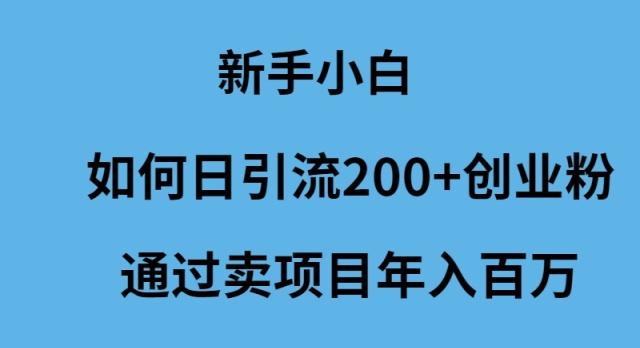 (9668期)新手小白如何日引流200+创业粉通过卖项目年入百万-吾爱云课堂