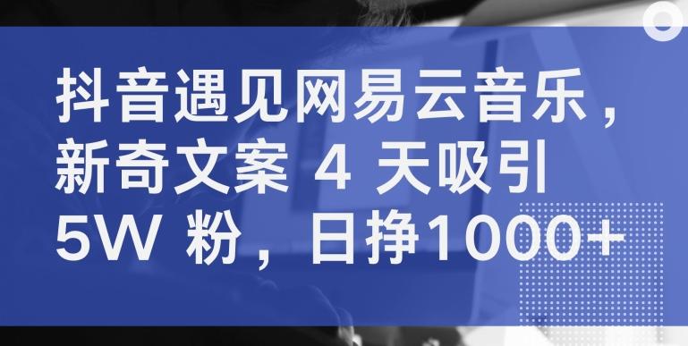抖音遇见网易云音乐,新奇文案 4 天吸引 5W 粉,日挣1000+【揭秘】-吾爱云课堂