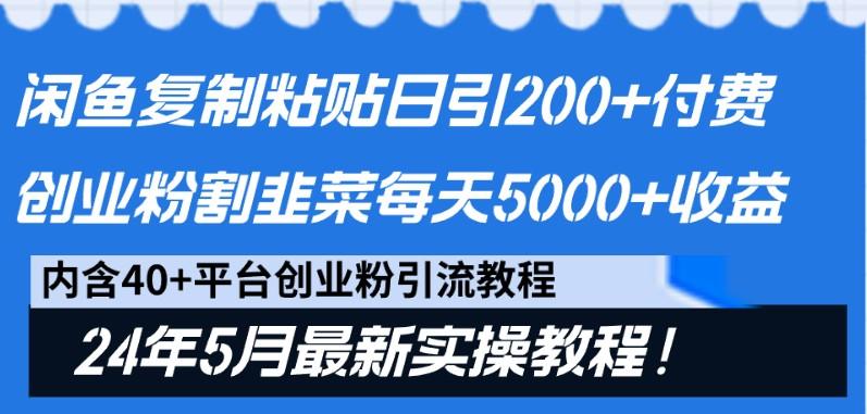 闲鱼复制粘贴日引200+付费创业粉,24年5月最新方法!割韭菜日稳定5000+收益-吾爱云课堂