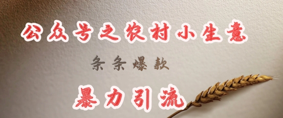 deepseek写农村小项目,条条爆款,暴力引流-吾爱云课堂