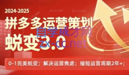 大力老师·2024拼多多运营策略蜕变3.0-吾爱云课堂
