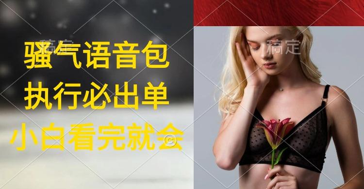 (9589期)执行就出单,日入2000+,超火骚气语音包,小白看完课程就能马上实操-吾爱云课堂