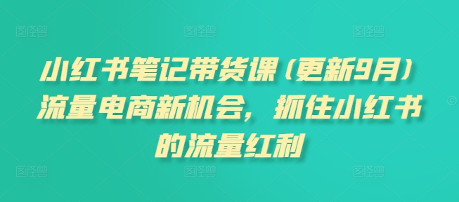 小红书笔记带货课，流量电商新机会，抓住小红书的流量红利(更新26年2月)-吾爱云课堂