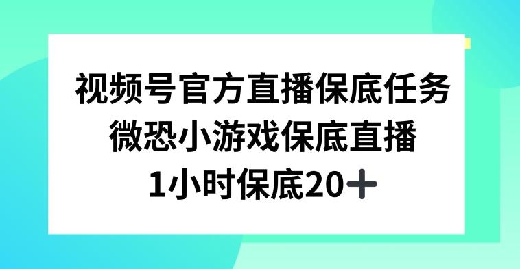 视频号直播任务,微恐小游戏,1小时20+【揭秘】-吾爱云课堂