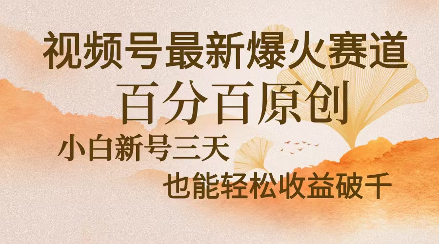 视频号最新爆火赛道,中老年粉深信不疑,百分百原创,新号三天收益轻松...-吾爱云课堂