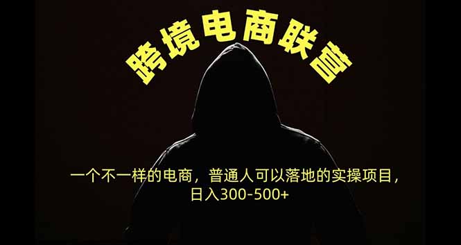 跨境电商联营，一个不一样的电商，普通人可操作日入300-500+-吾爱云课堂
