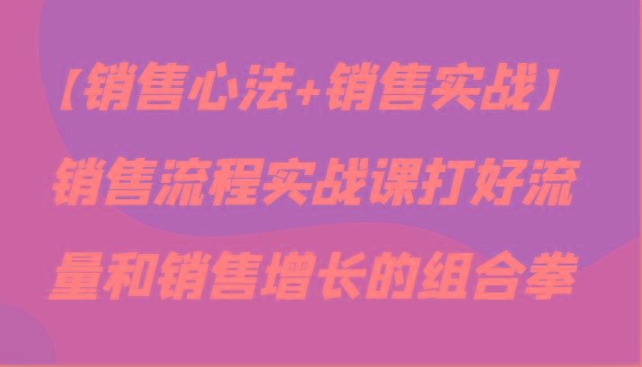 【销售心法+销售实战】销售流程实战课打好流量和销售增长的组合拳-吾爱云课堂