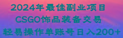 2024年最佳副业项目 CSGO饰品装备交易 轻易操作单账号日入200+-吾爱云课堂