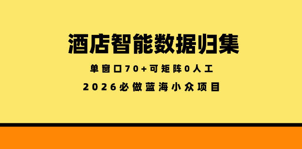酒店智能数据归集，小众蓝海已经稳定半年之久，单窗口70+零成本矩阵开干【揭秘】-吾爱云课堂