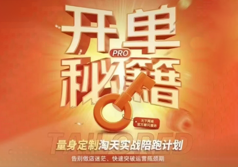 天下网商·淘宝天猫陪跑计划(更新7月)-吾爱云课堂