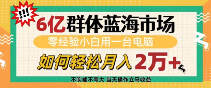 6亿群体蓝海市场,零经验小白用一台电脑,如何轻松月入过w【揭秘】-吾爱云课堂