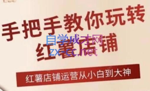 海燕老师·2024手把手教你玩转红薯店铺-吾爱云课堂