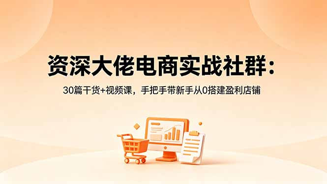 资深大佬电商实战社群：30篇干货+视频课，手把手带新手从0搭建盈利店铺-吾爱云课堂