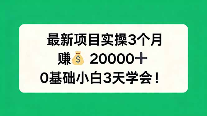 最新项目实操3个月，赚钱20000+，0基础小白3天学会！-吾爱云课堂