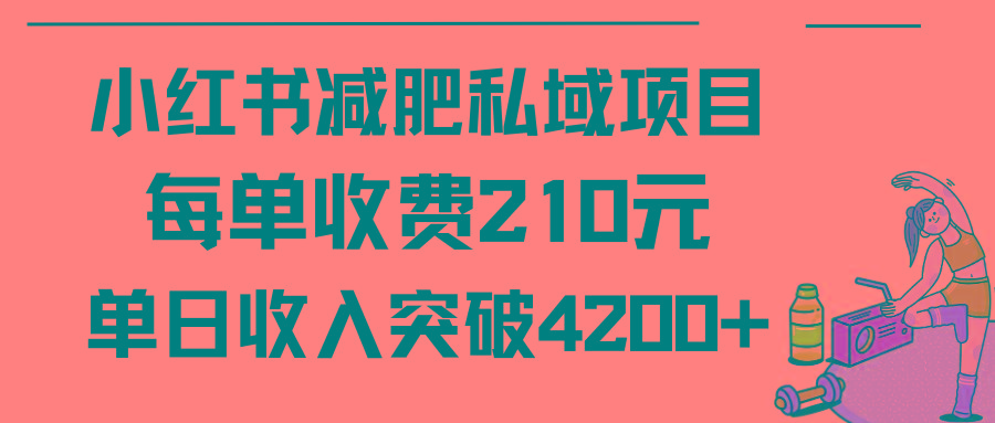 (9466期)小红书减肥私域项目每单收费210元单日成交20单,最高日入4200+-吾爱云课堂
