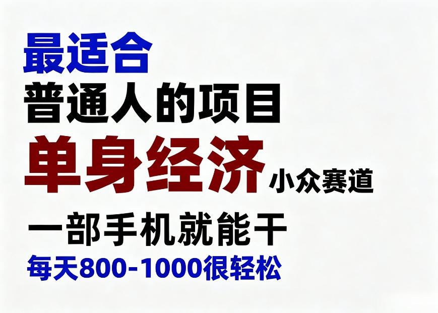 身经济小众赛道，一部手机就能干，每天搞个800-1000很轻松，最适合普通人的项目【揭秘】-吾爱云课堂