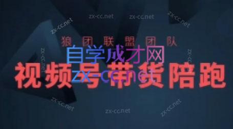 狼团联盟·2024视频号带货-吾爱云课堂