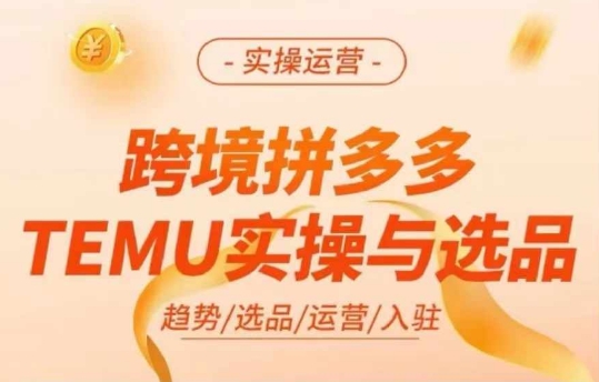 跨境拼多多TEMU实操与选品,多多temu跨境选品运营实操-吾爱云课堂