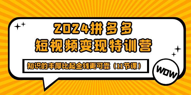 (9817期)2024拼多多短视频变现特训营,知识的丰厚比起金钱更可靠(11节课)-吾爱云课堂