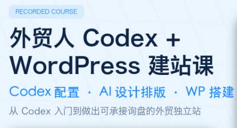 大卫·外贸人Codex + WordPress建站课(更新8月)-吾爱云课堂