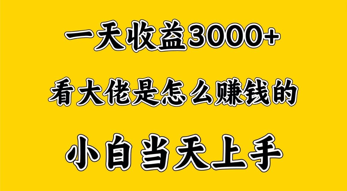 一天赚3000多,大佬是这样赚到钱的,小白当天上手,穷人翻身项目-吾爱云课堂