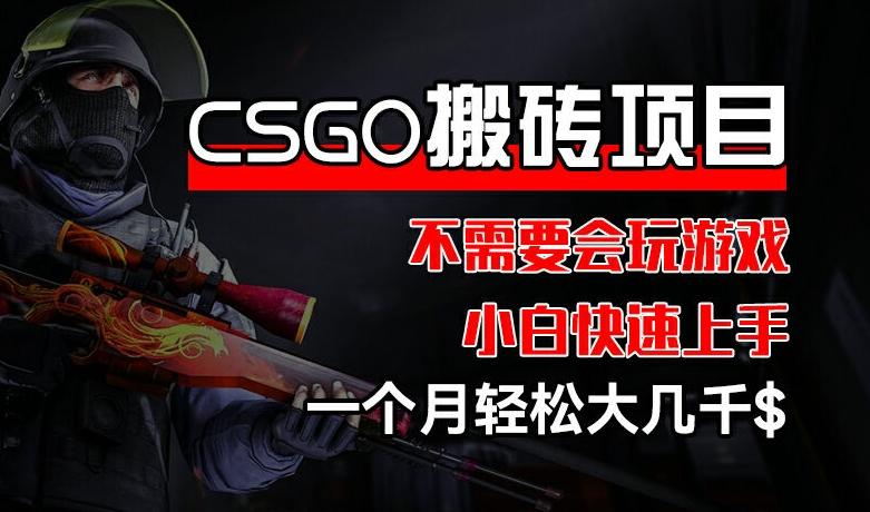 CSGO 装备搬砖项目,操作简单,不需要会玩游戏,小白也能快速上手,一个月轻松大几千【揭秘】-吾爱云课堂