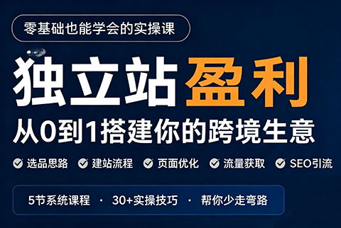 刘老师·5节课跑通独立站盈利全流程-吾爱云课堂