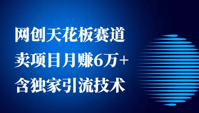 网创天花板赛道,卖项目月赚6万+,含独家引流技术(共26节课)-吾爱云课堂