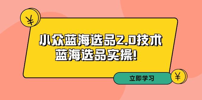 拼多多培训第33期:小众蓝海选品2.0技术-蓝海选品实操!-吾爱云课堂