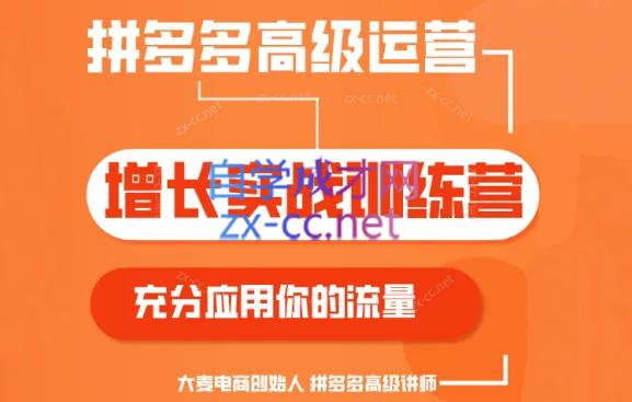 大麦老师·拼多多单品爆款打造课程(更新6月)-吾爱云课堂