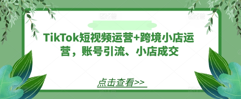 TikTok短视频运营+跨境小店运营,账号引流、小店成交-吾爱云课堂