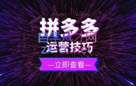 力辛电商·拼多多强付费店群玩法-吾爱云课堂