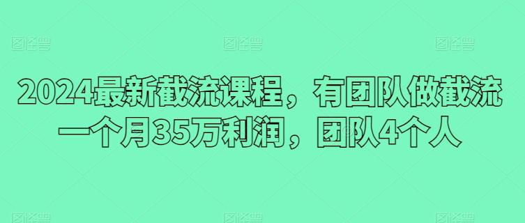 2024最新截流课程,有团队做截流一个月35万利润,团队4个人-吾爱云课堂