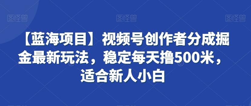 【蓝海项目】视频号创作者分成掘金最新玩法,稳定每天撸500米,适合新人小白【揭秘】-吾爱云课堂