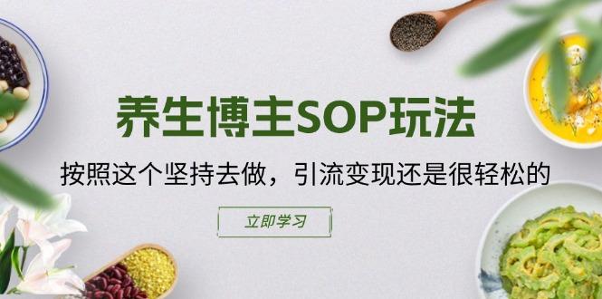 养生博主SOP玩法,按照这个坚持去做,引流变现还是很轻松的-吾爱云课堂