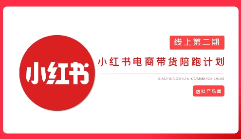 2025小红书虚拟电商实战课-吾爱云课堂