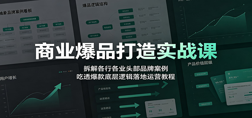 商业爆品打造实战课：拆解各行各业头部品牌案例，吃透爆款底层逻辑落地运营教程-吾爱云课堂