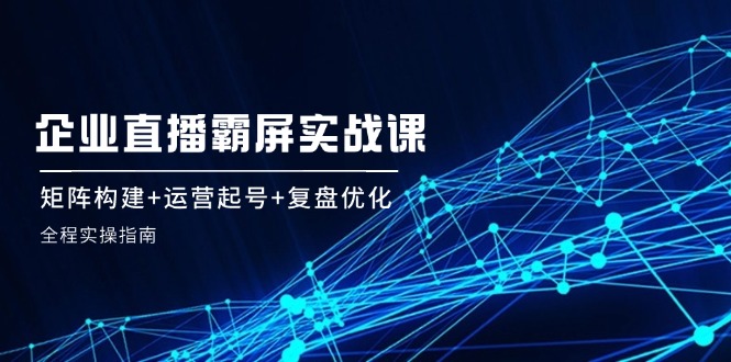 企业直播霸屏实战课:矩阵构建+运营起号+复盘优化,全程实操指南-吾爱云课堂