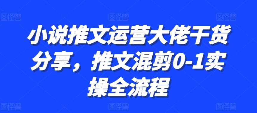 小说推文运营大佬干货分享，推文混剪0-1实操全流程-吾爱云课堂