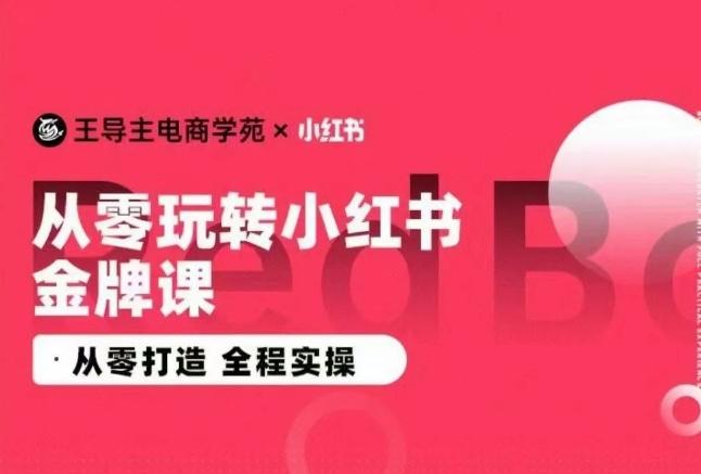 王导主·小红书电商运营实操课,从零打造 全程实操-吾爱云课堂