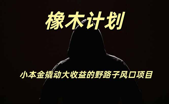 橡木计划，小投入撬动高回报的风口野路子项目，一天投入2小时左右-吾爱云课堂