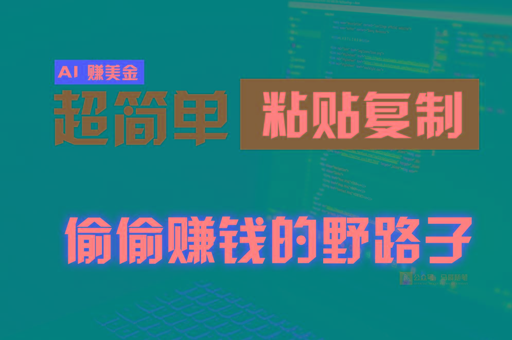 偷偷赚钱野路子,0成本海外淘金,无脑粘贴复制,稳定且超简单,适合副业兼职-吾爱云课堂