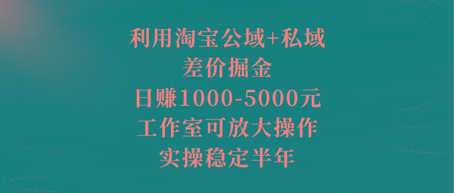 利用淘宝公域+私域差价掘金,日赚1000-5000元,工作室可放大操作,实操...-吾爱云课堂