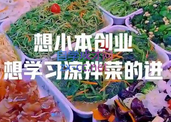 李记·精品凉拌菜系列热卤系列教程-吾爱云课堂