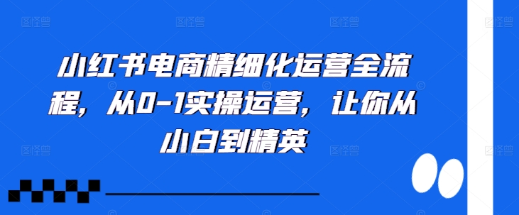小红书电商精细化运营全流程,从0-1实操运营,让你从小白到精英-吾爱云课堂