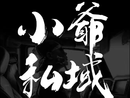 小爷·私域项目操盘手-吾爱云课堂